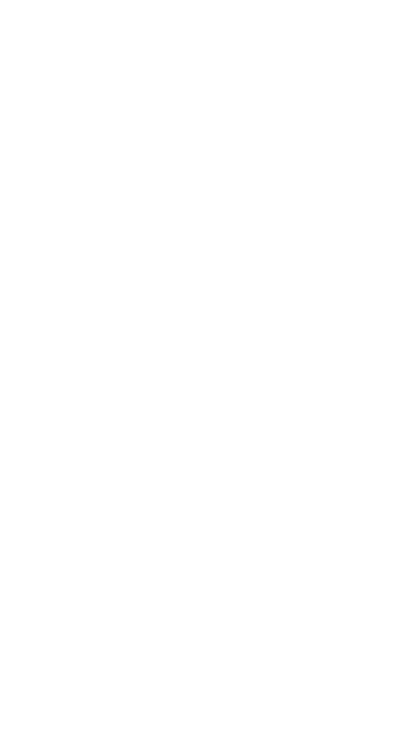 Leo Loso - Header White Logo